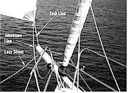 Asymmetric Sail Inventory & Sail Trim Set Up