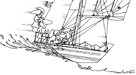 Sail Care & Storage