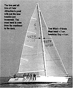 Mast Bend & Headstay Sag